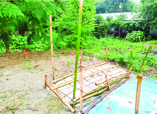 Image of মো: জাহাঙ্গীর আলম